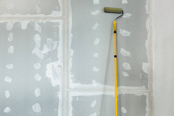 Best Mold Damage Restoration  in Sunbury, OH