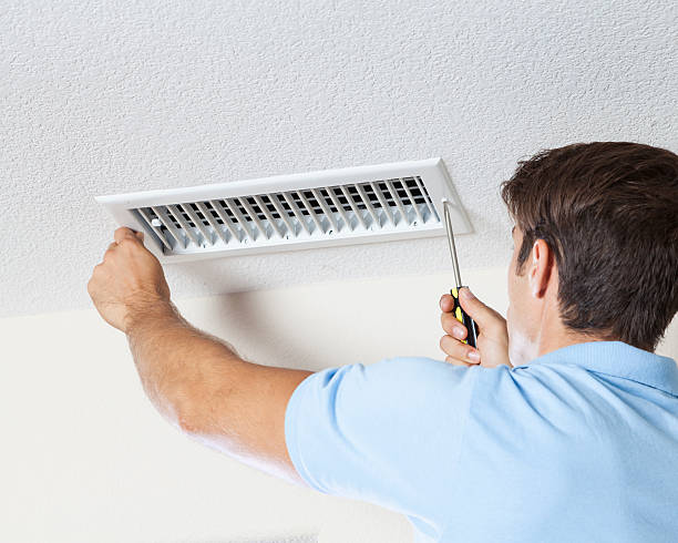 Best Basement Mold Removal  in Sunbury, OH