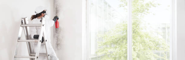 Best Mold Odor Removal Services  in Sunbury, OH